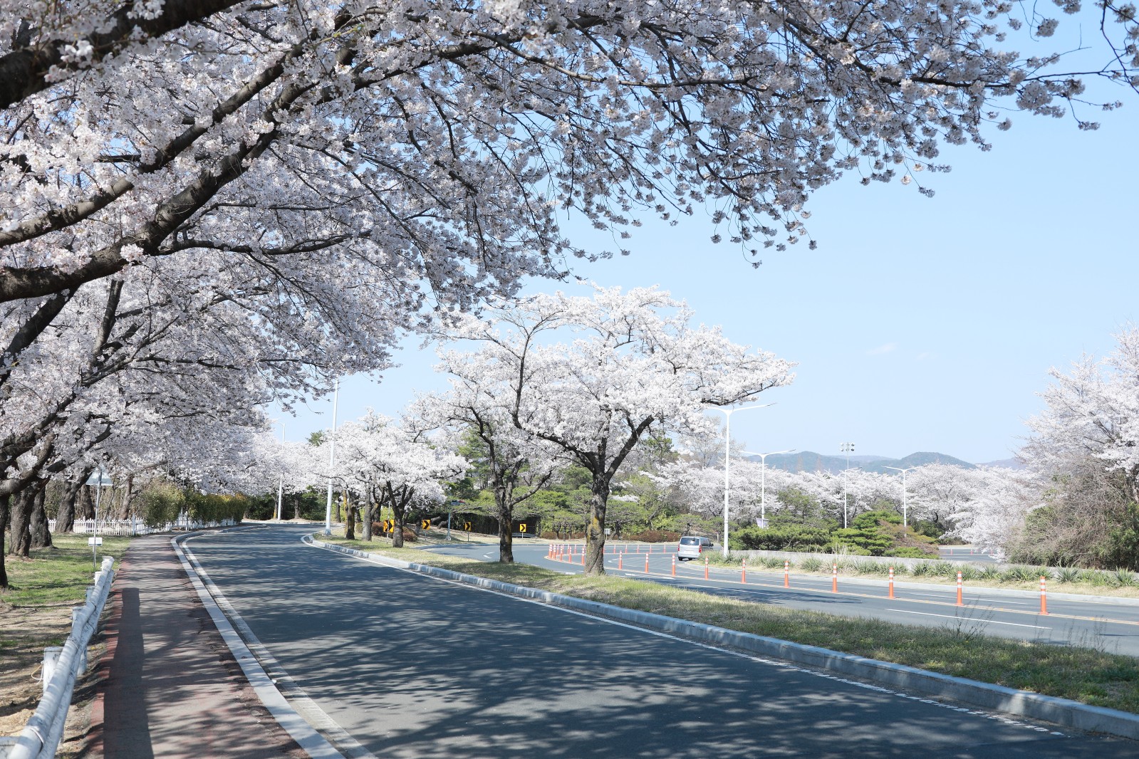 보문단지(2019년 봄)