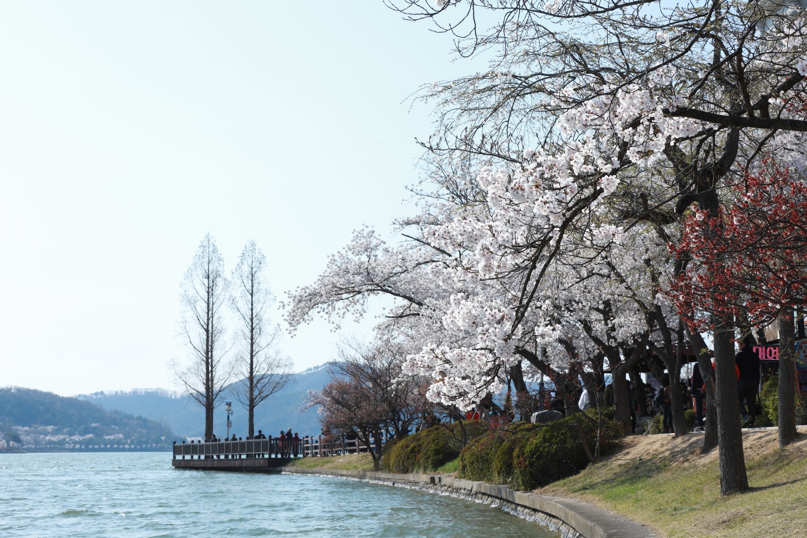 보문단지(2019년 봄)