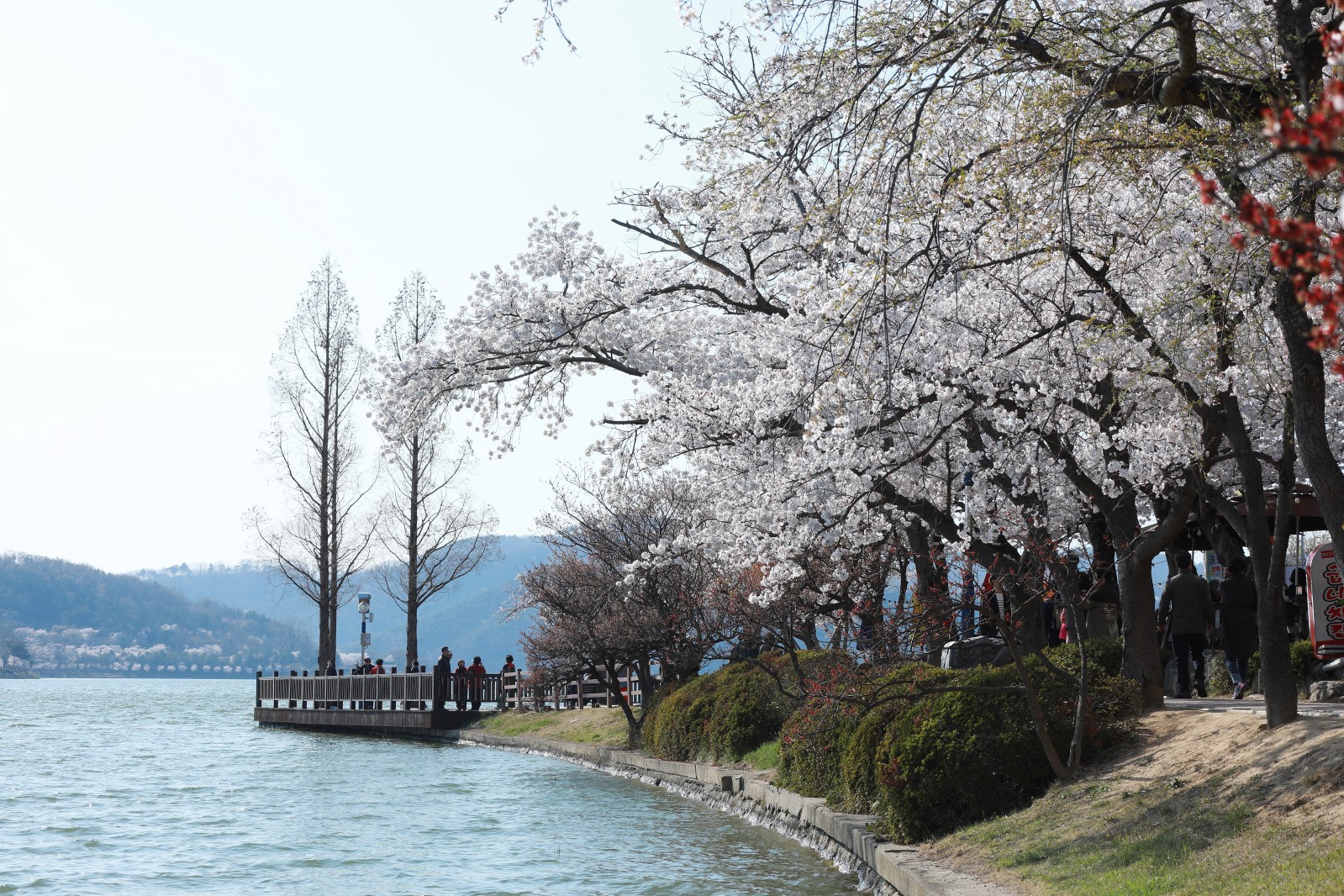 보문단지(2019년 봄)