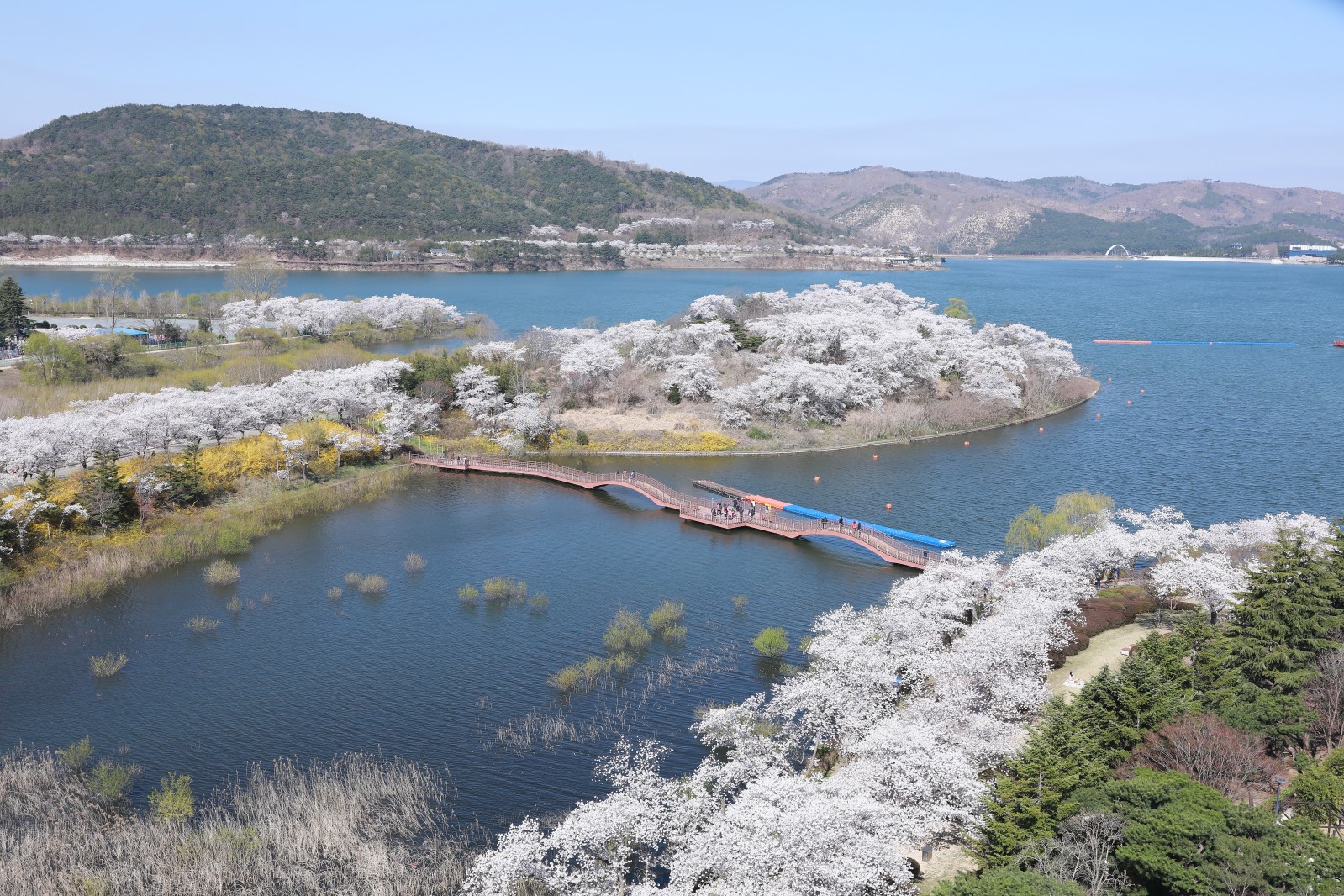 보문단지(2019년 봄)