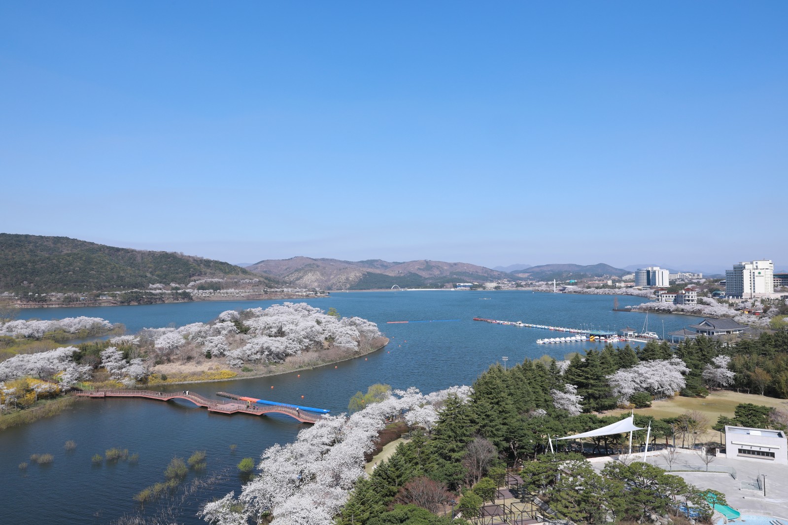 보문단지(2019년 봄)