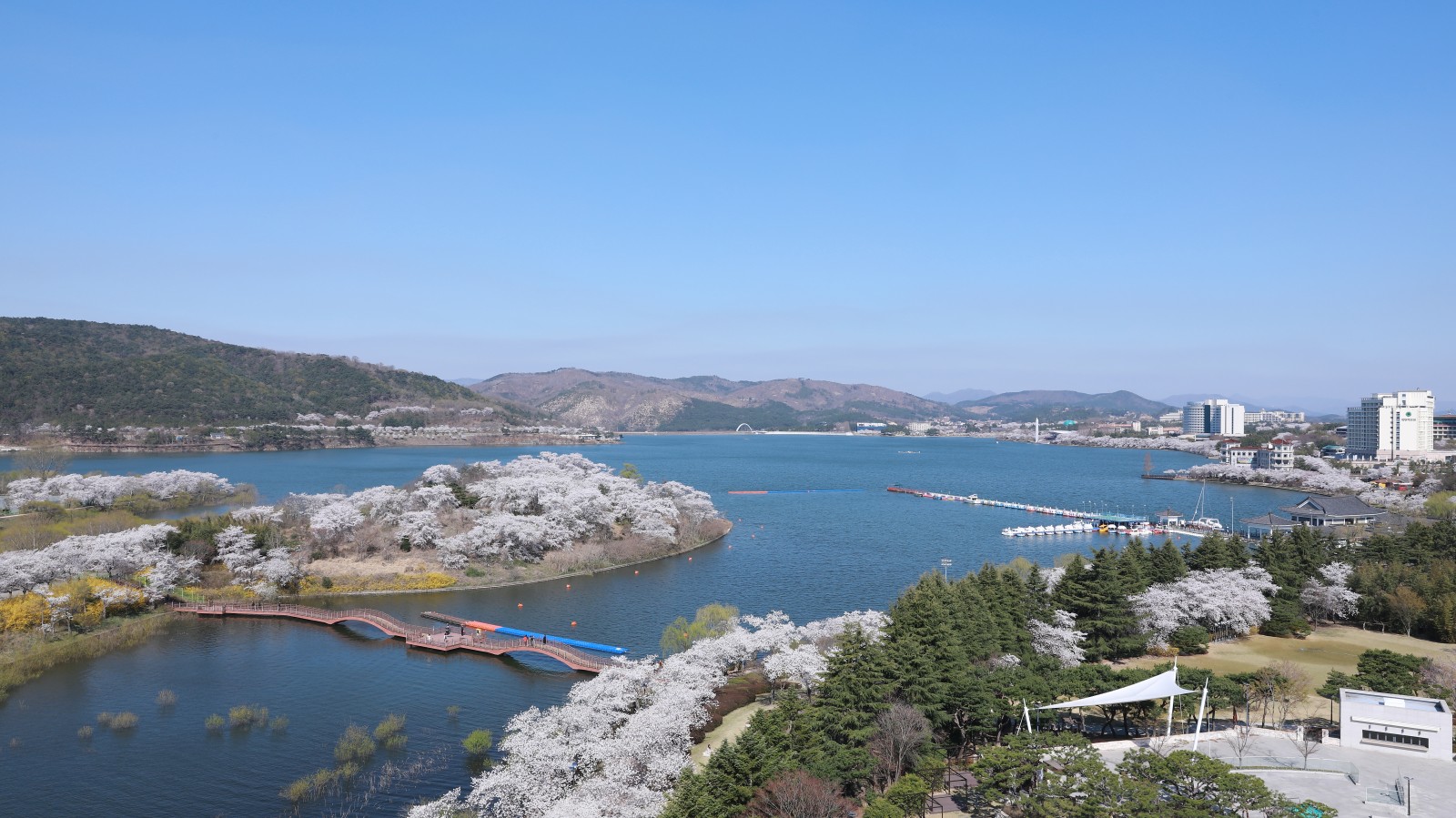 보문단지(2019년 봄)