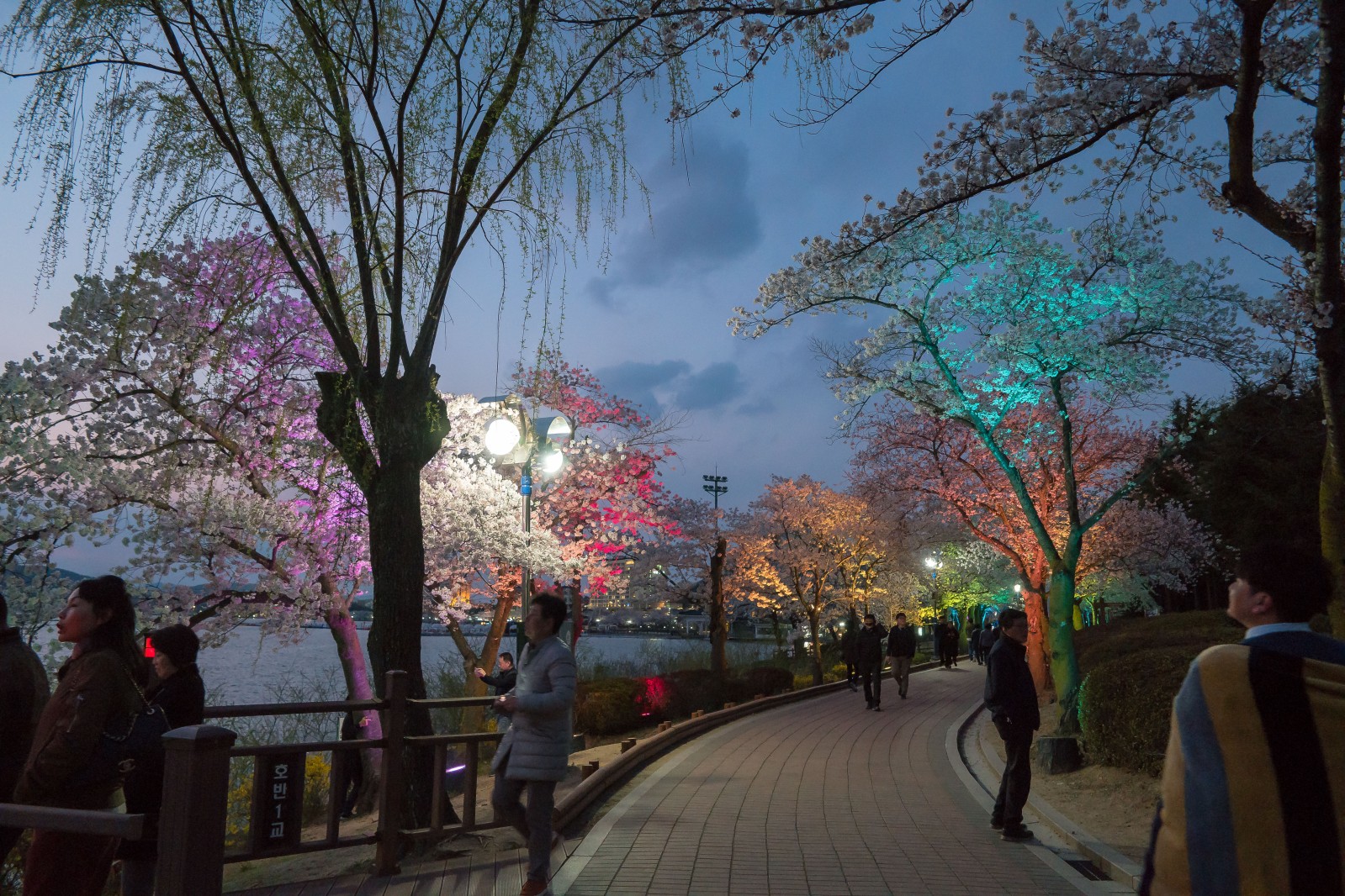 보문단지(2019년 봄)