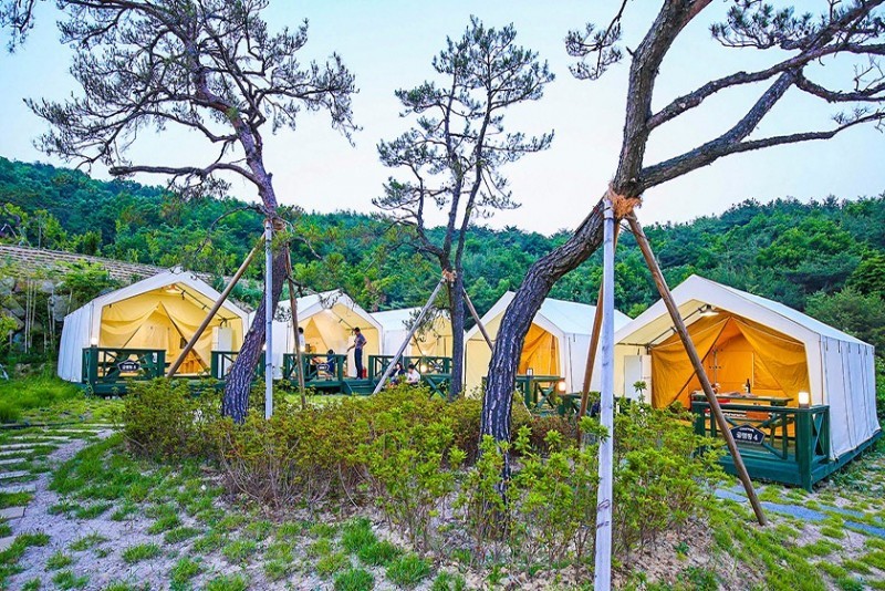 캠프파이브 (토함산관광농원) | Home | 숙박 | 동아시아 문화도시 2022 경주 동아시아 문화도시 2022 경주
