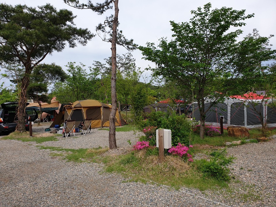 용천수캠핑장 | 오토캠핑,야영장 | 숙박 | 경주문화관광 경주문화관광