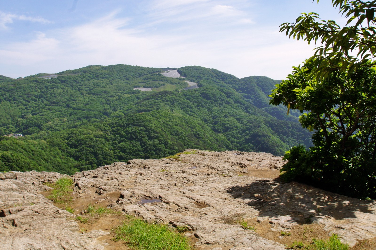 오봉산 | 서악,북부권 | 권역별 관광지 | 경주 여행 | 경주문화관광 경주문화관광