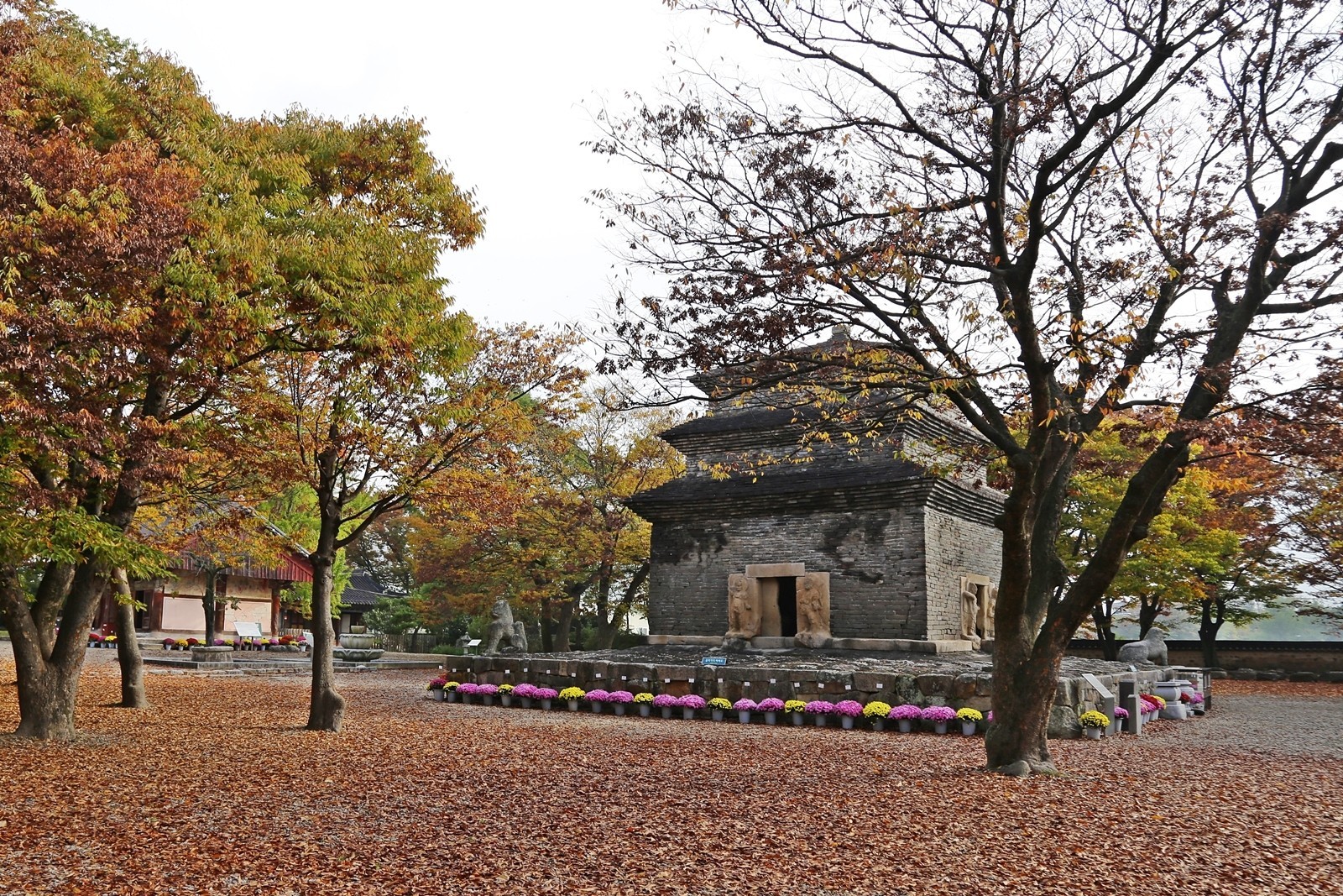 가을의 분황사 모진석탑 전경