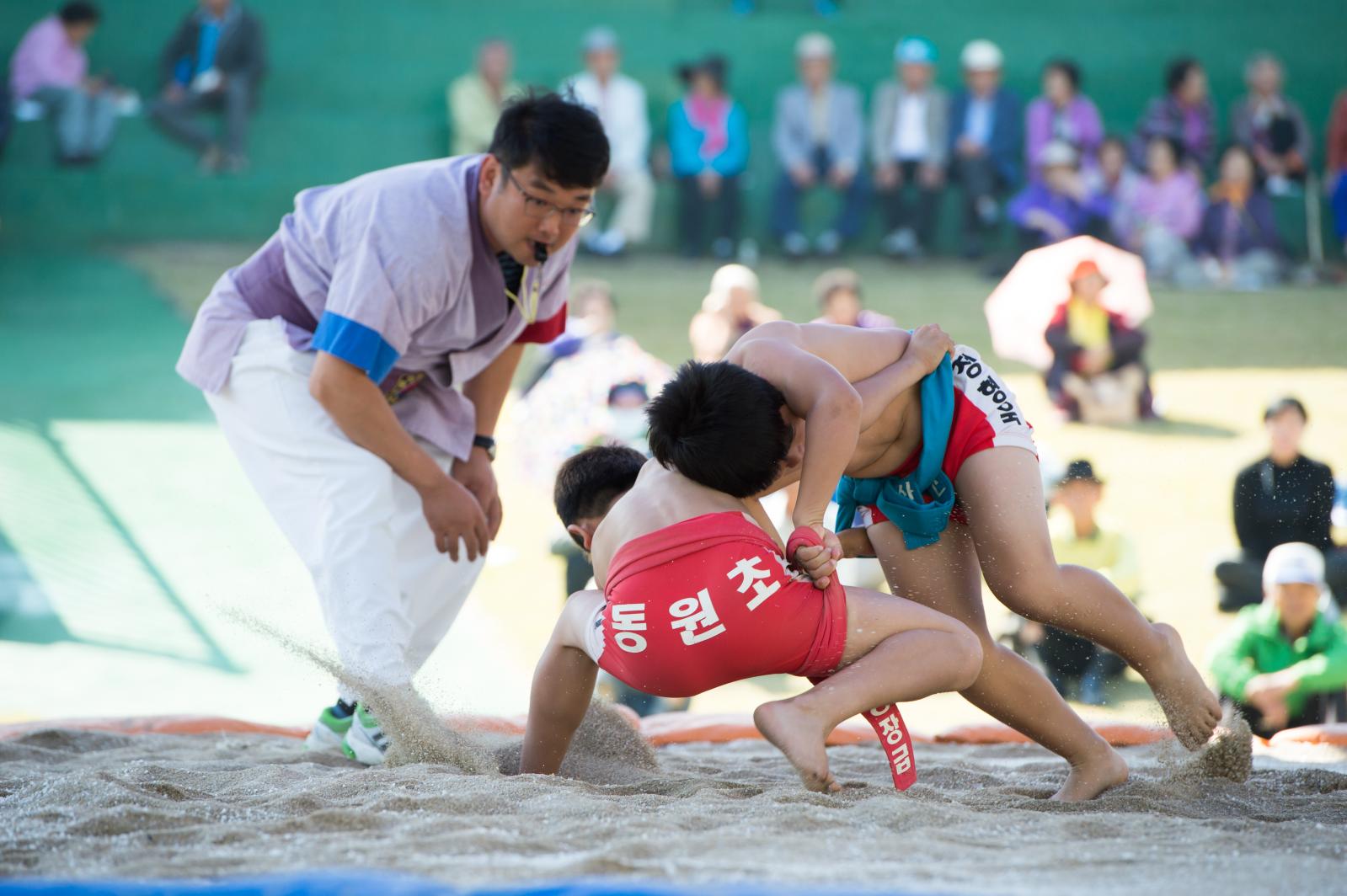 42회 신라문화제