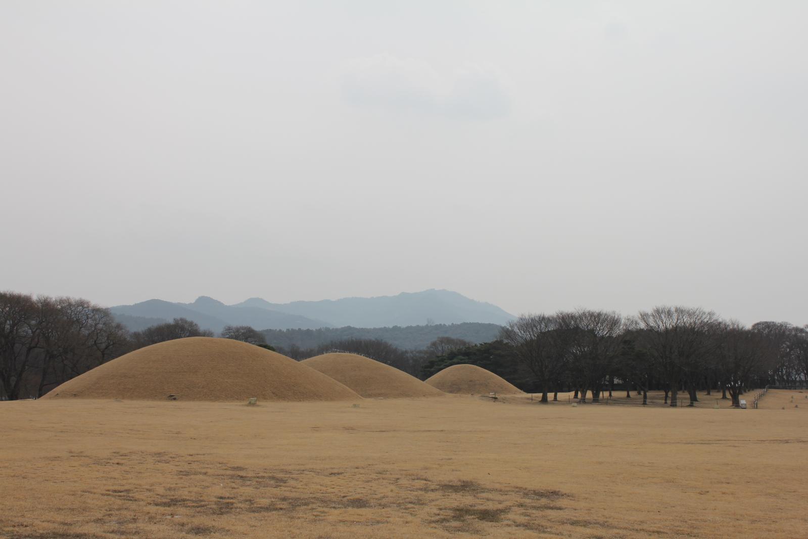 동부사적지대25