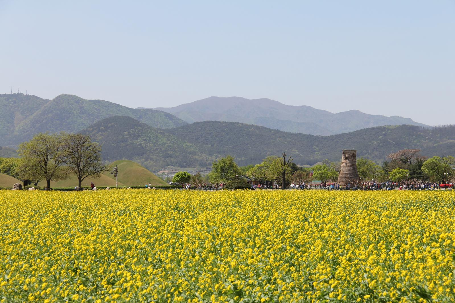 동부사적지대28