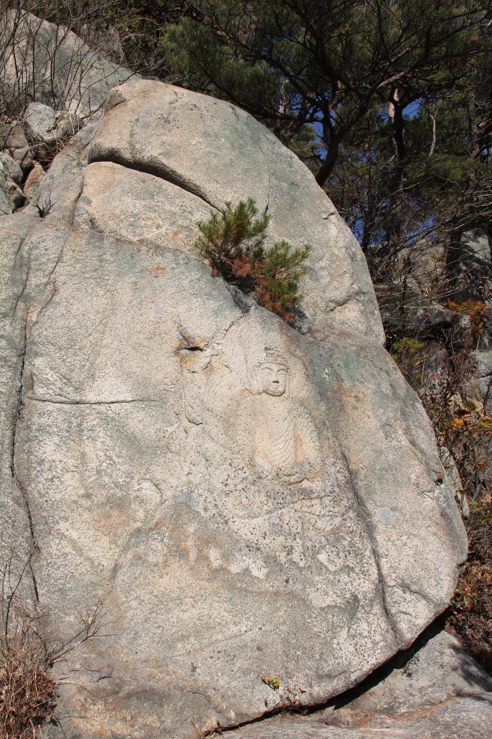 용장사지마애여래좌상8