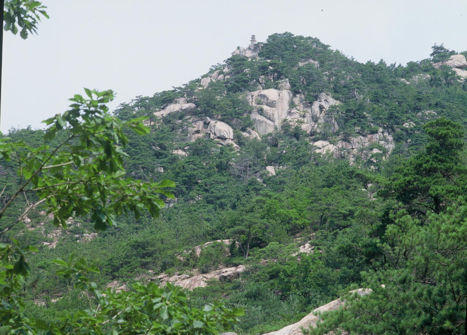 남산용장사곡삼층석탑5