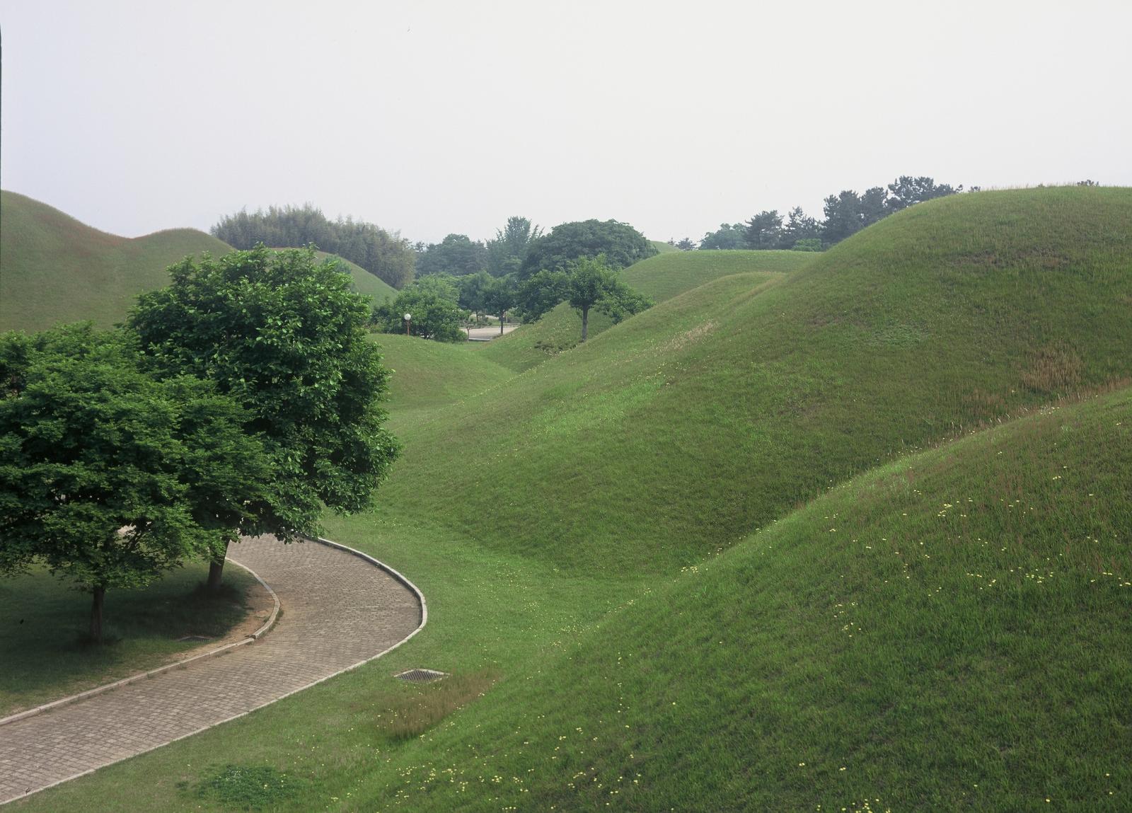 내물왕릉,계림,월성지대2