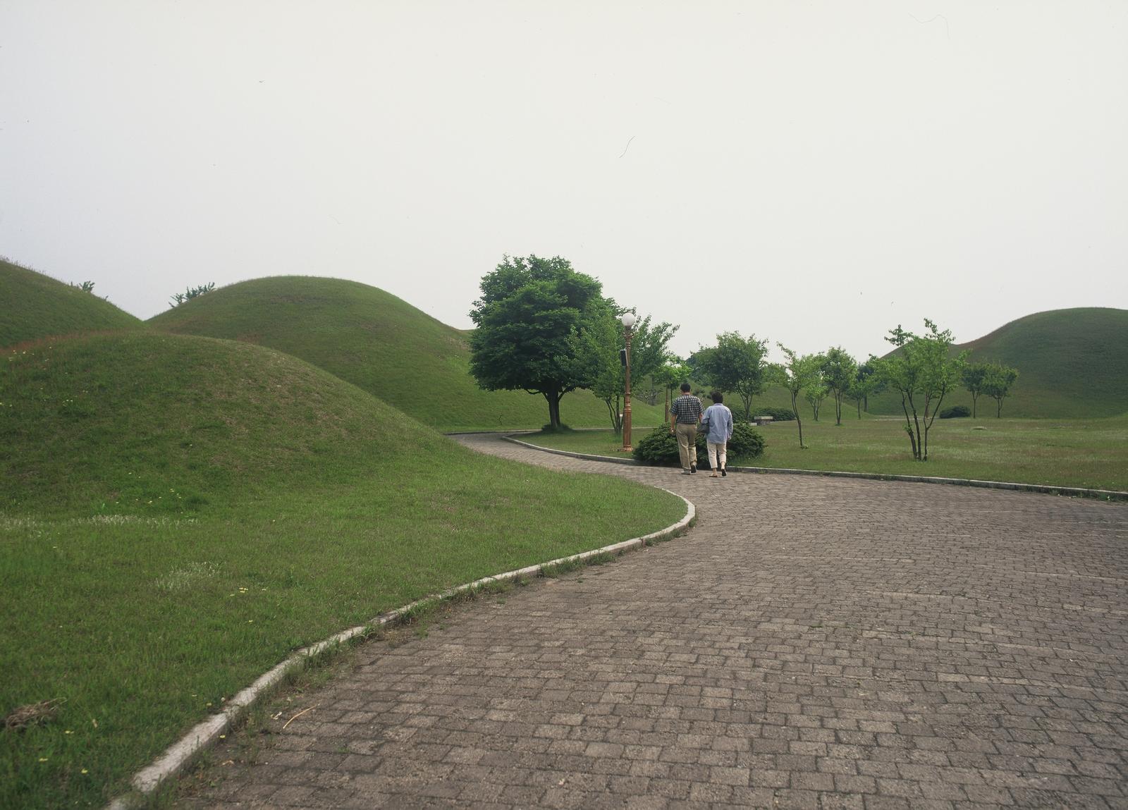 내물왕릉,계림,월성지대4