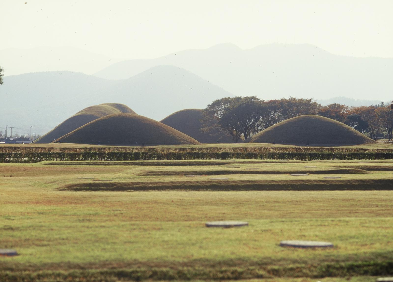 내물왕릉,계림,월성지대6