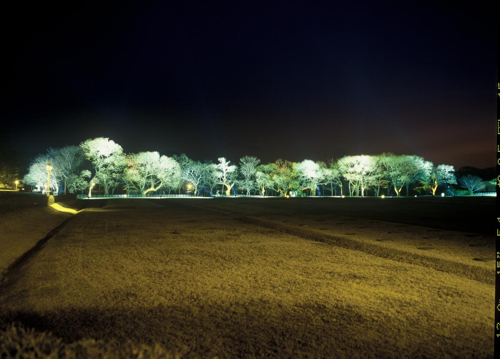 동부사적지대14