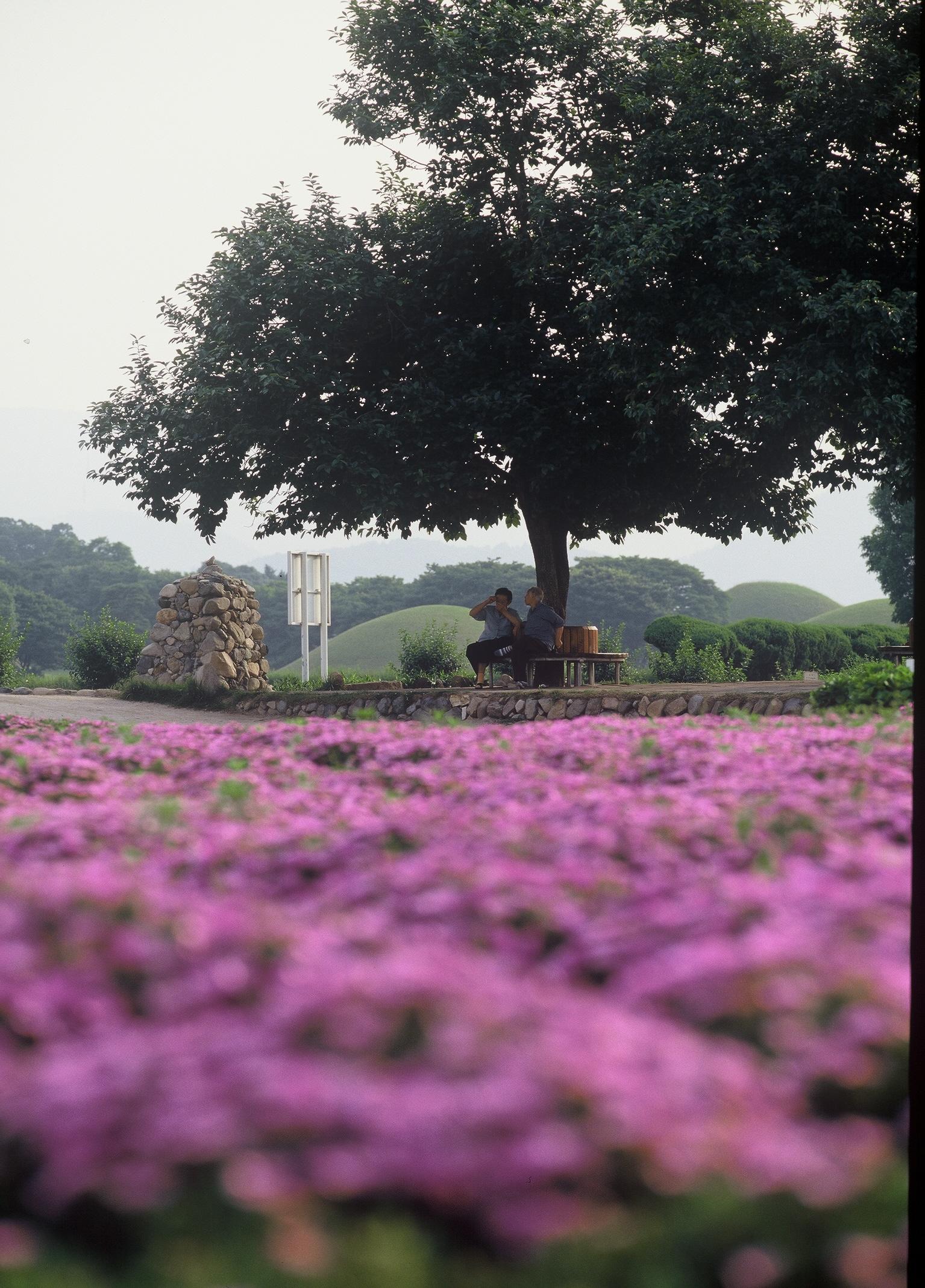 동부사적지대15