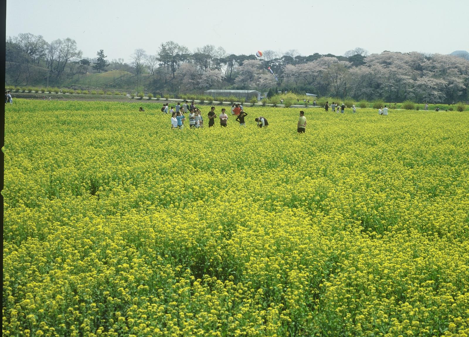 동부사적지대18
