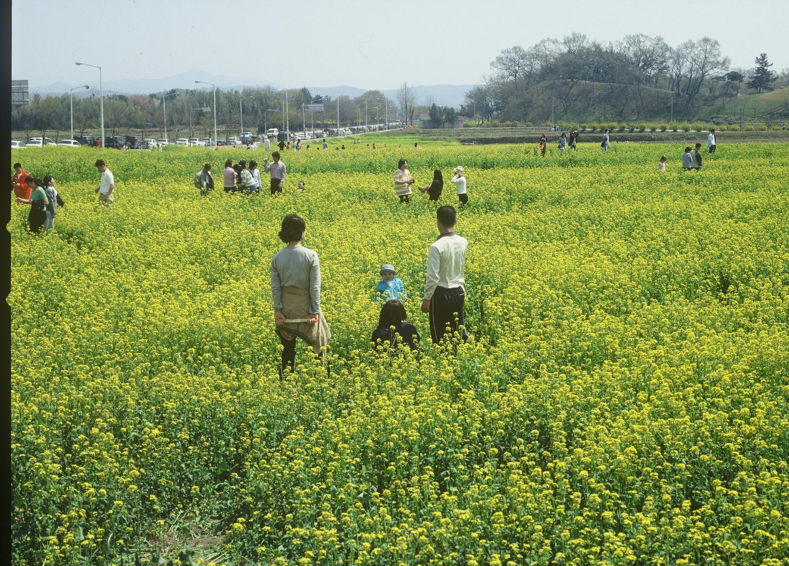 동부사적지대19