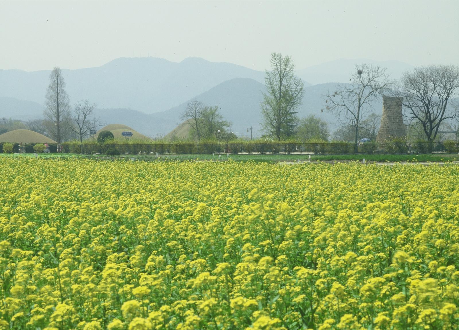 동부사적지대20