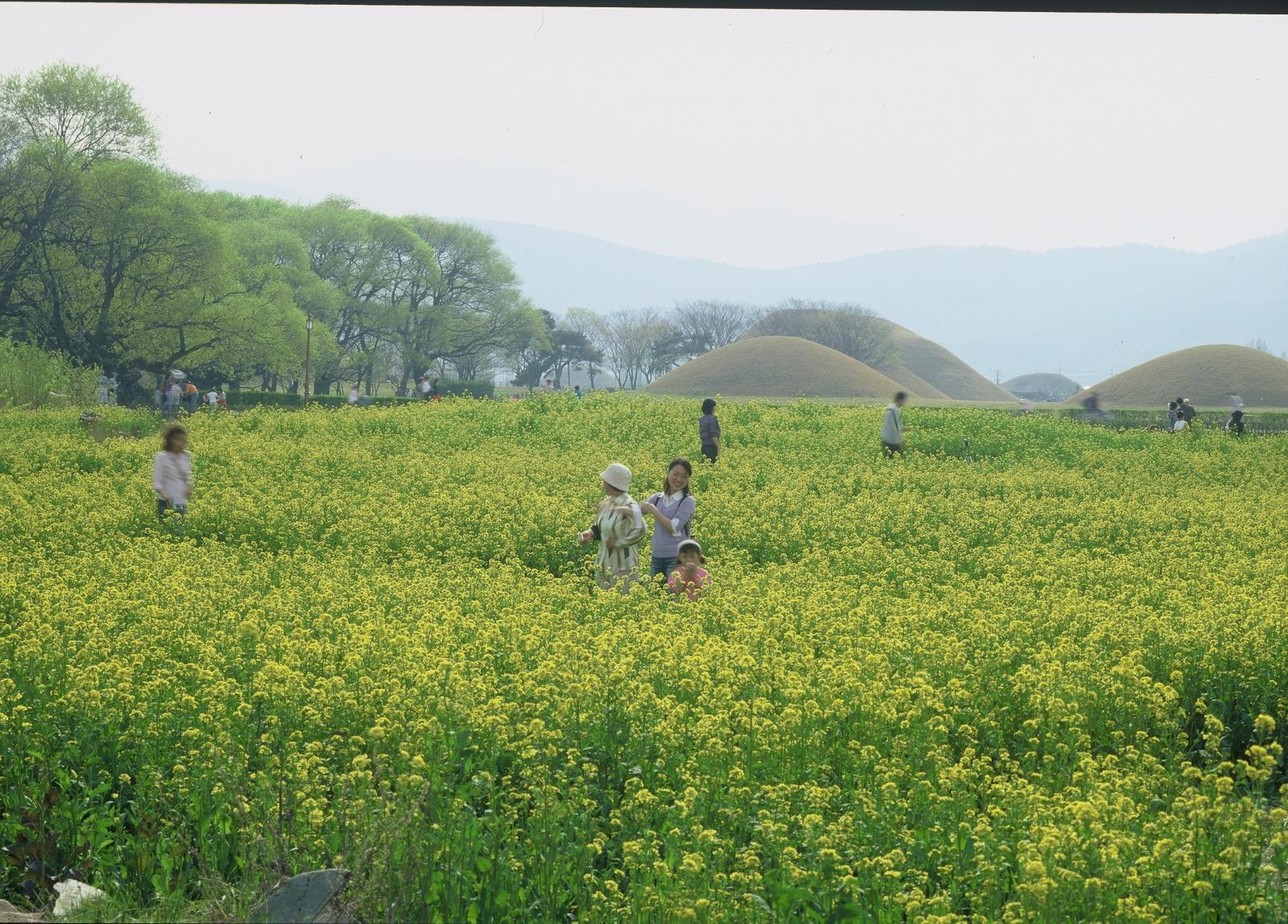 동부사적지대21