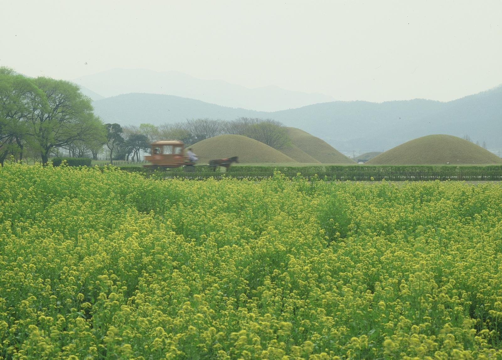 동부사적지대22