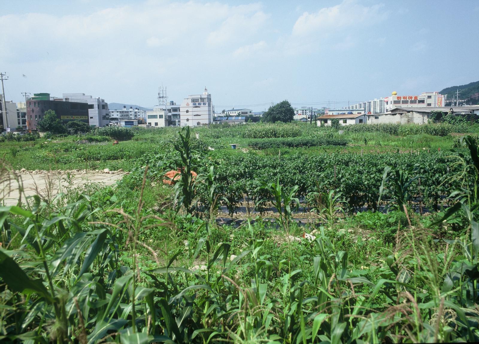 용강동원지유적2