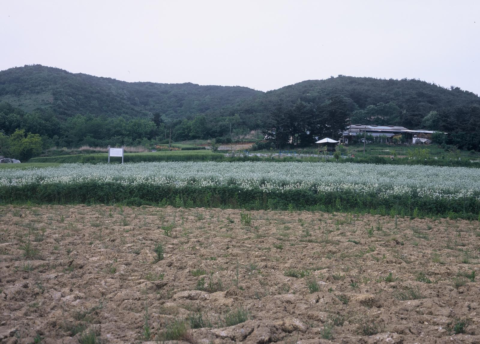 화산리회유토기요지3