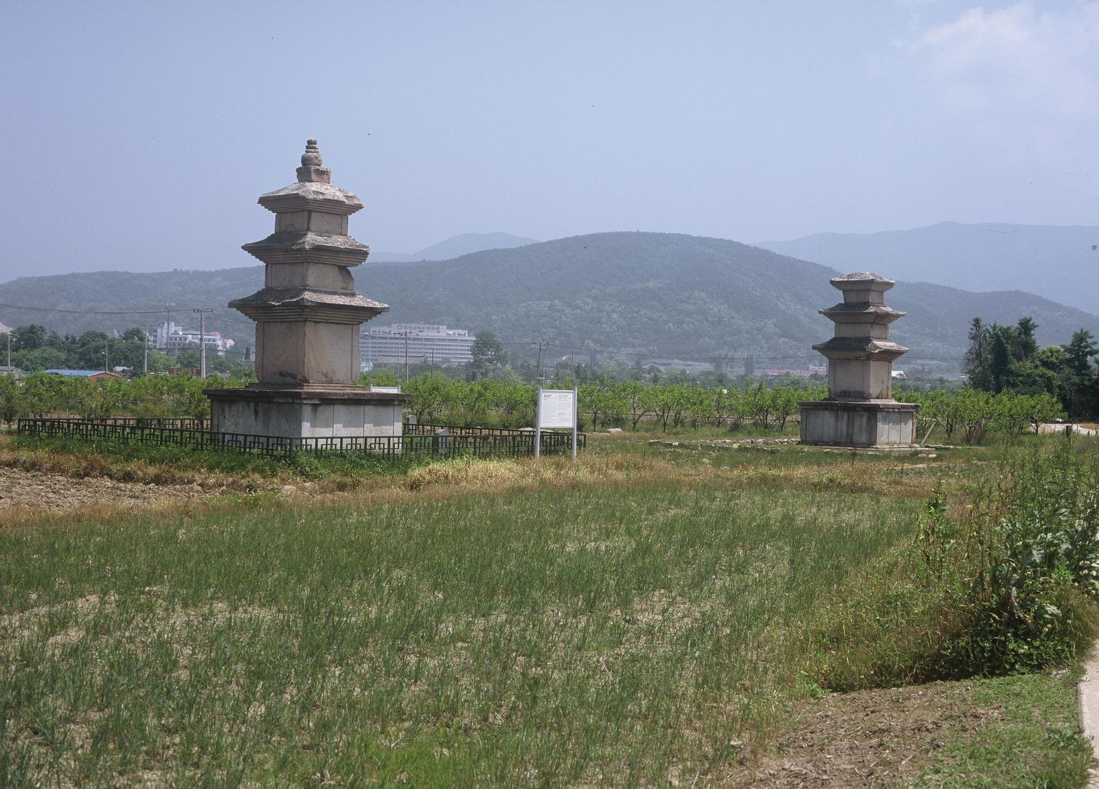 천군리삼층석탑2