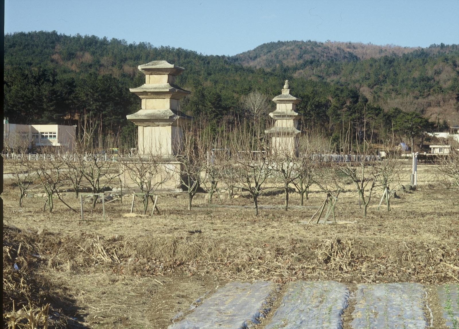천군리삼층석탑3