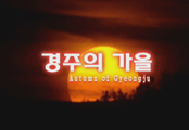 경주의 사계 : 경주의 가을