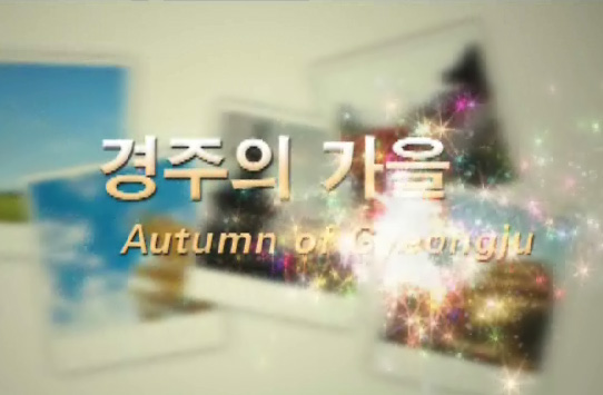 2010 경주의 가을
