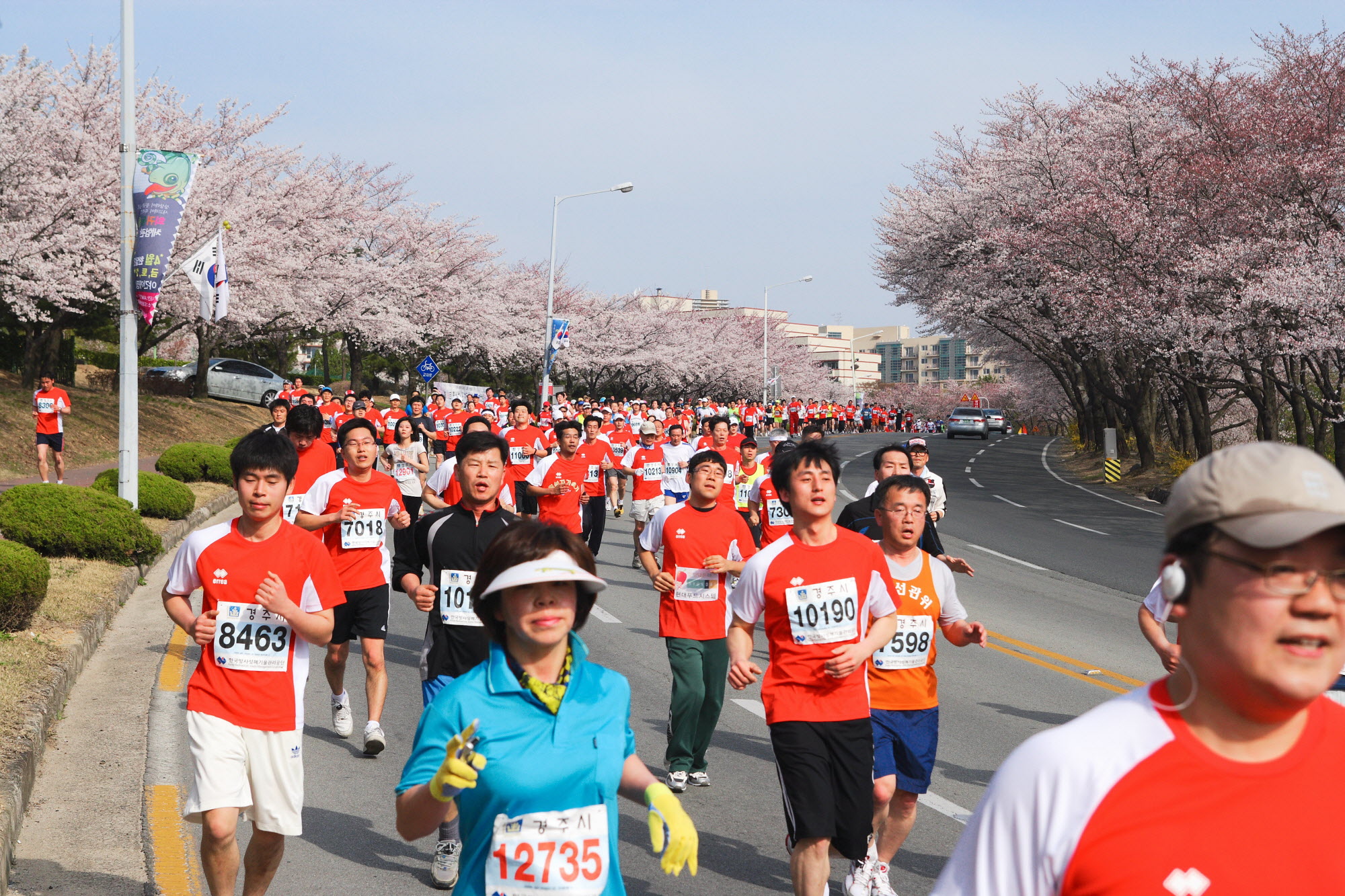 경주벚꽃마라톤대회 인기 짱 이네