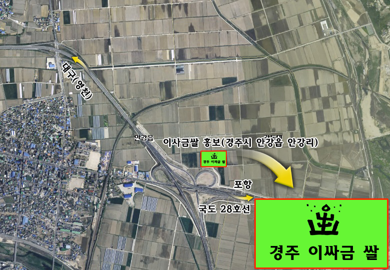 경주 홍보 ‘유색벼’로 한다