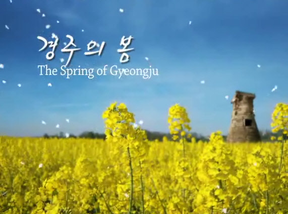 2010 경주의 봄