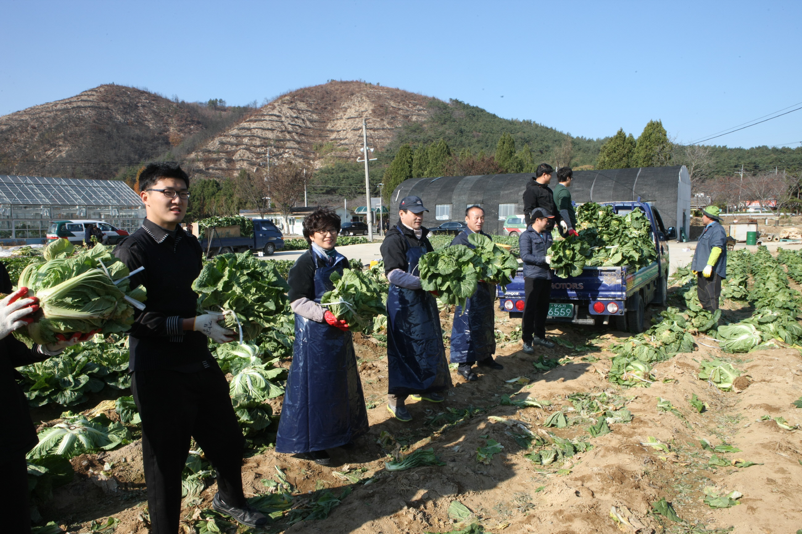 2.농업기술센터_배추무나눔_02.JPG