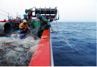 경주시, 연근해 어선 안전장비· 생산비 절감장비 보급