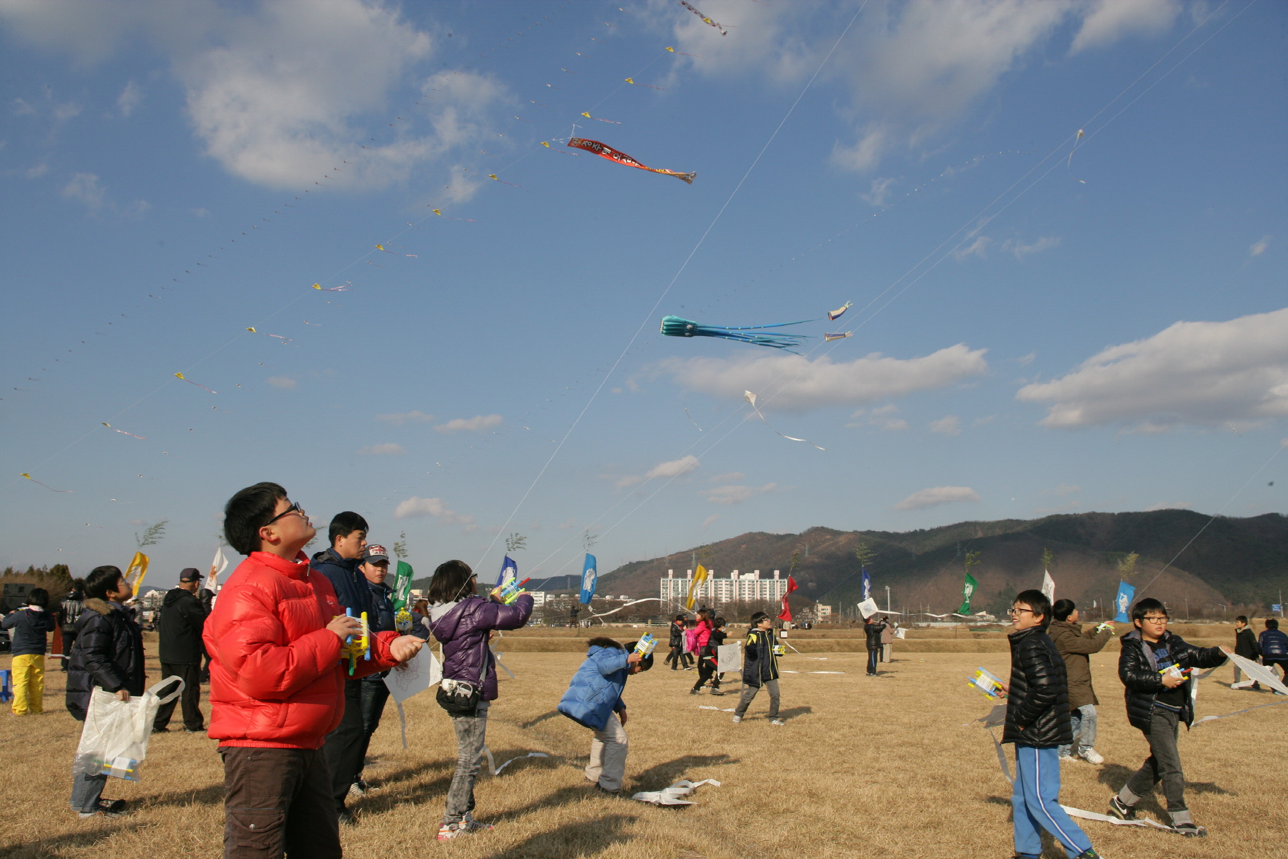 김유신장군 명활성 승전기념 ‘전국연날리기대회’개최