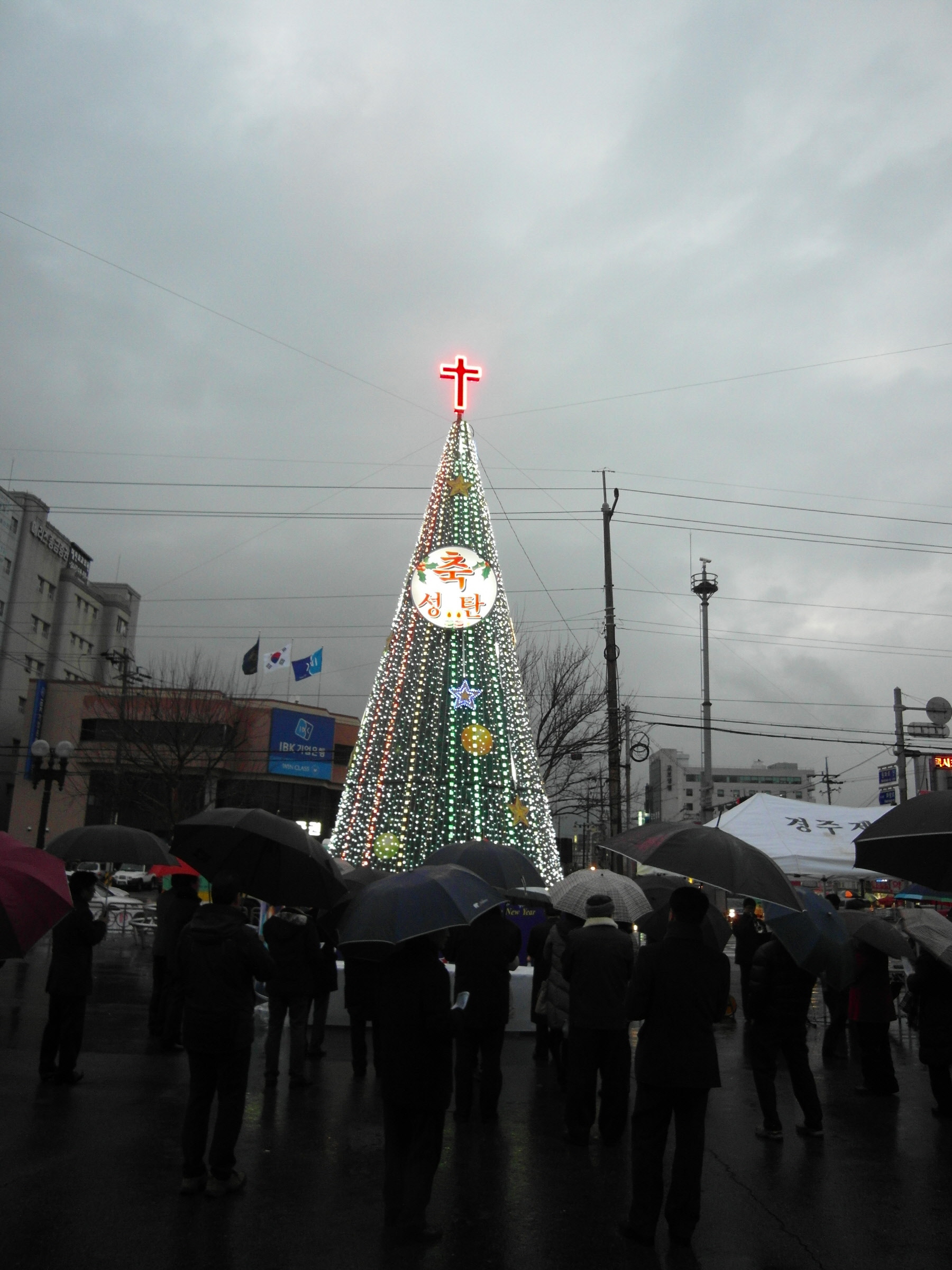2012년 성탄절 경축 트리 점등식