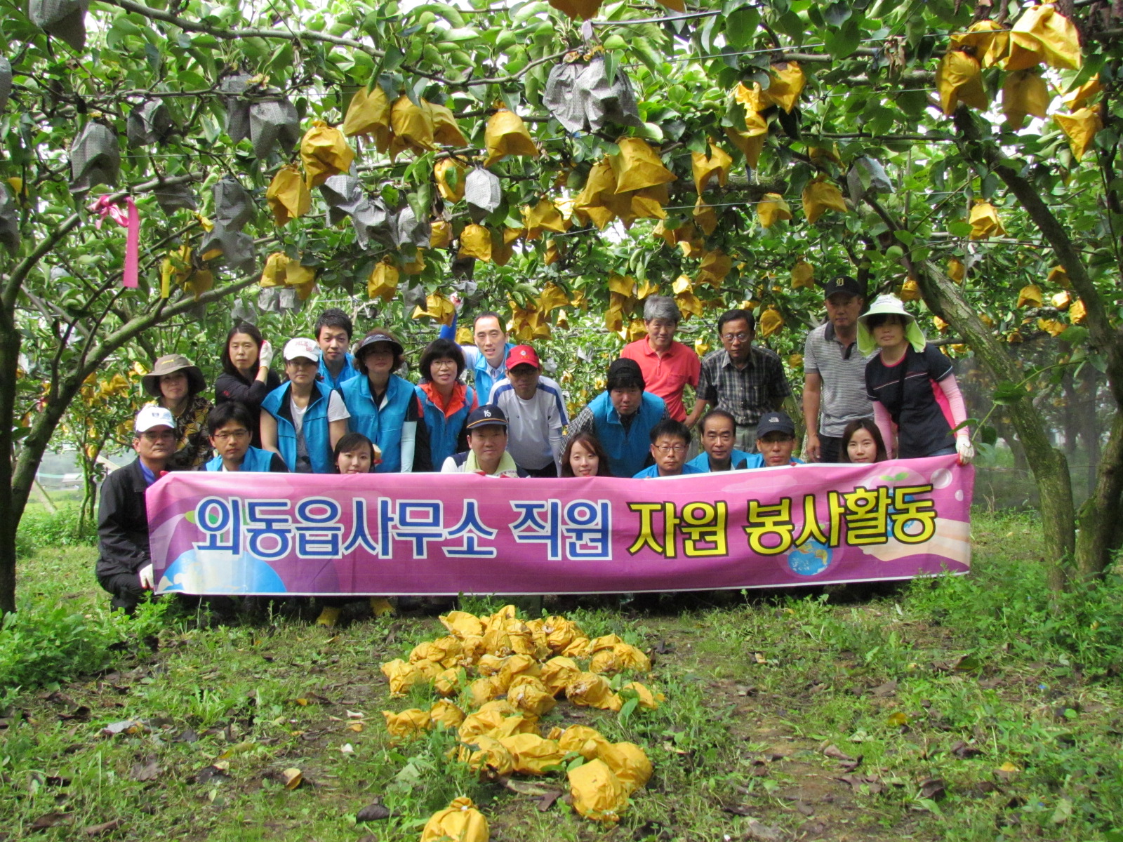 “외동읍사무소 직원, 태풍 피해복구 일손 나눔”