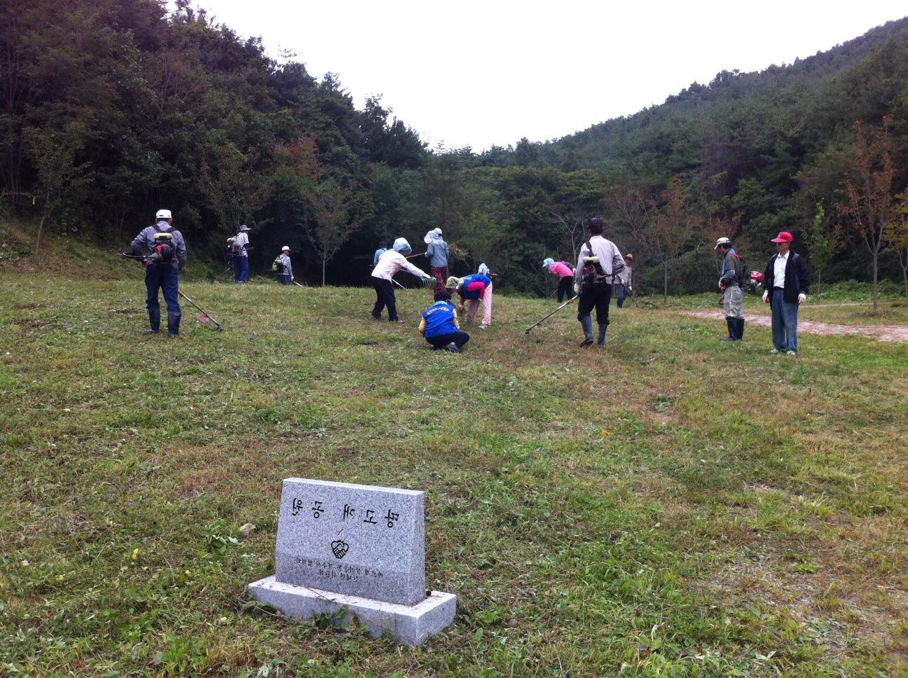 산내면 추석맞이 제초작업 실시