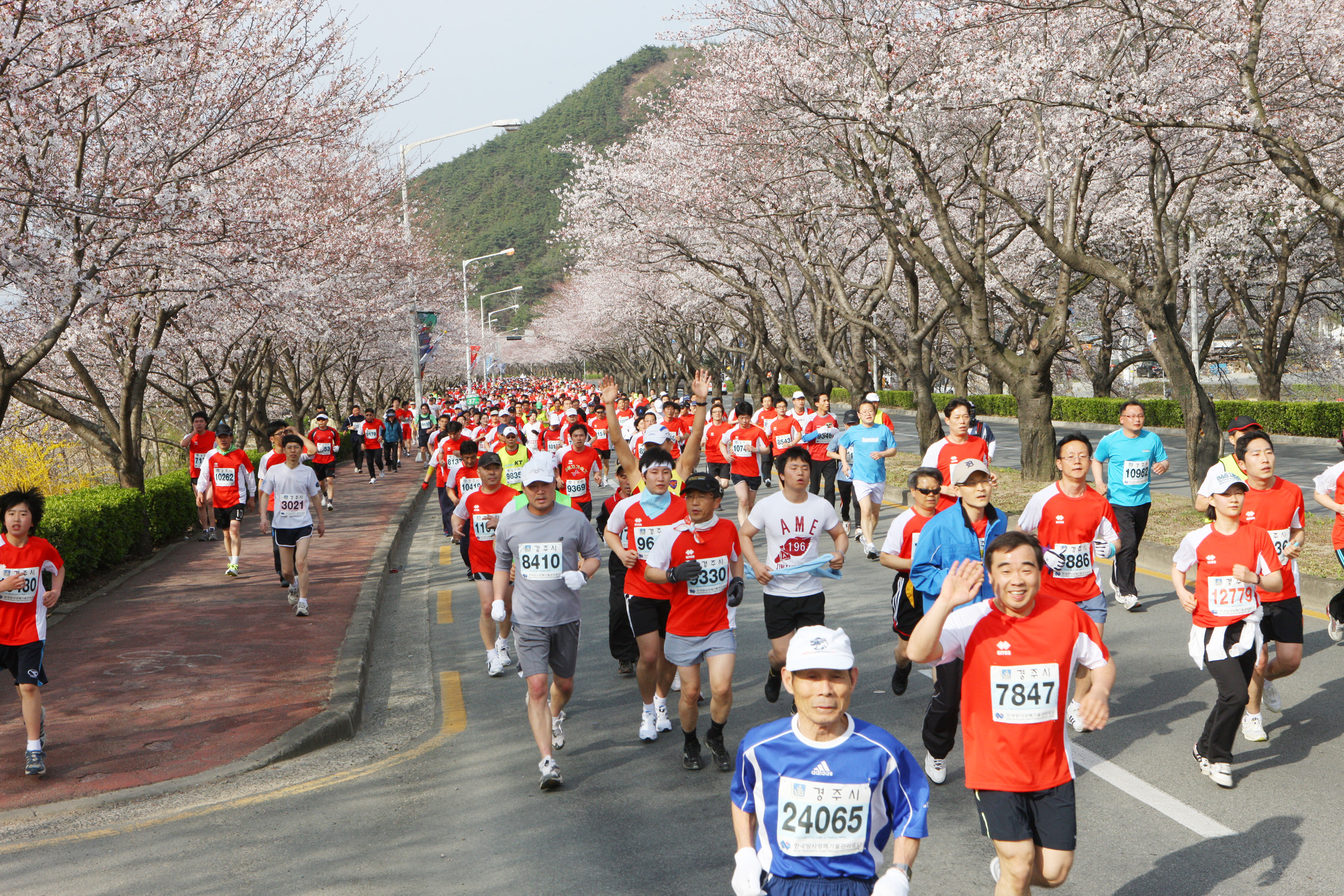 『제22회 경주벚꽃마라톤 대회』