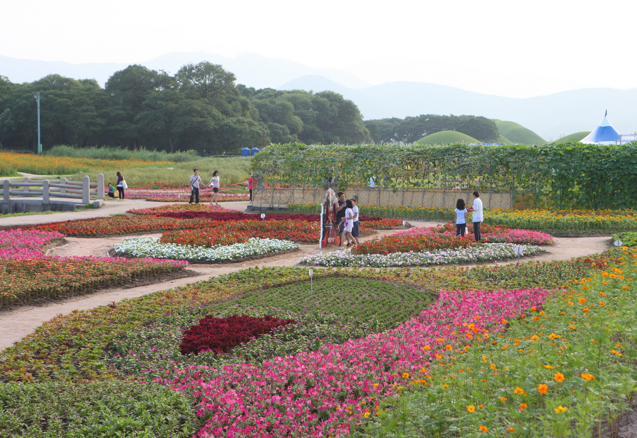 경주 동부사적지 꽃단지 조성