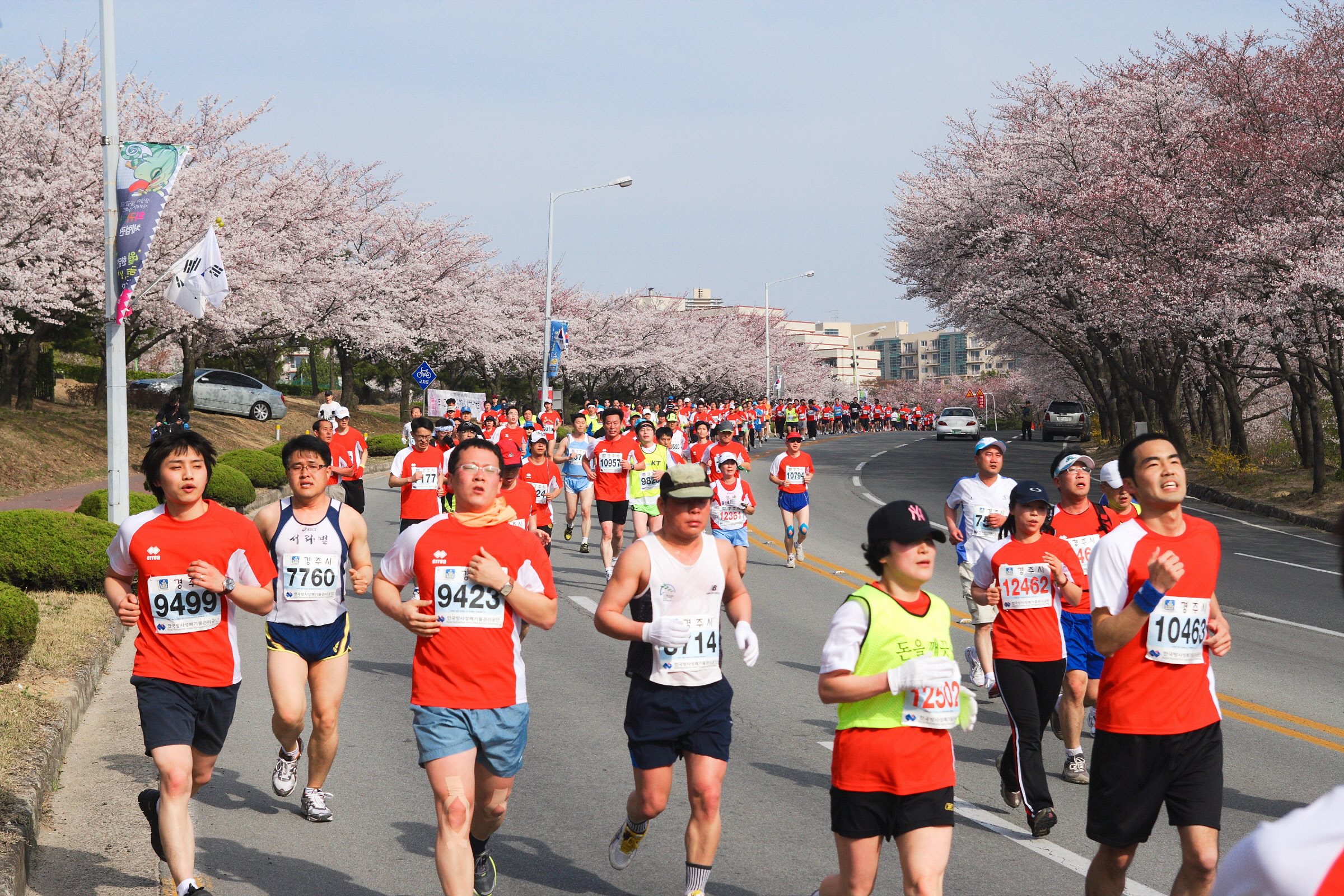 『제23회 경주벚꽃마라톤 대회』