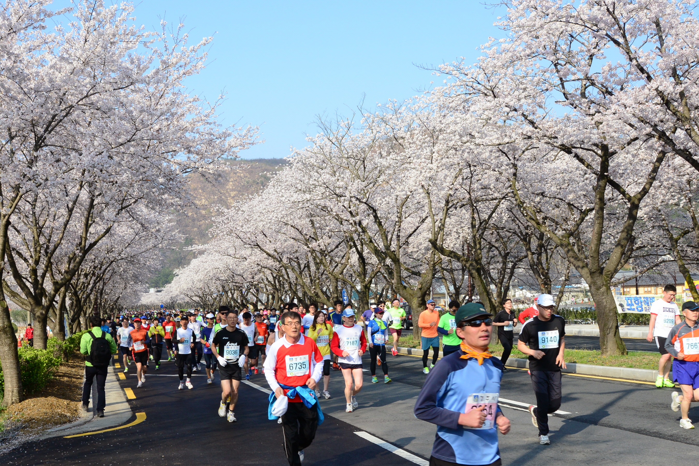 『제23회 경주벚꽃마라톤 대회』