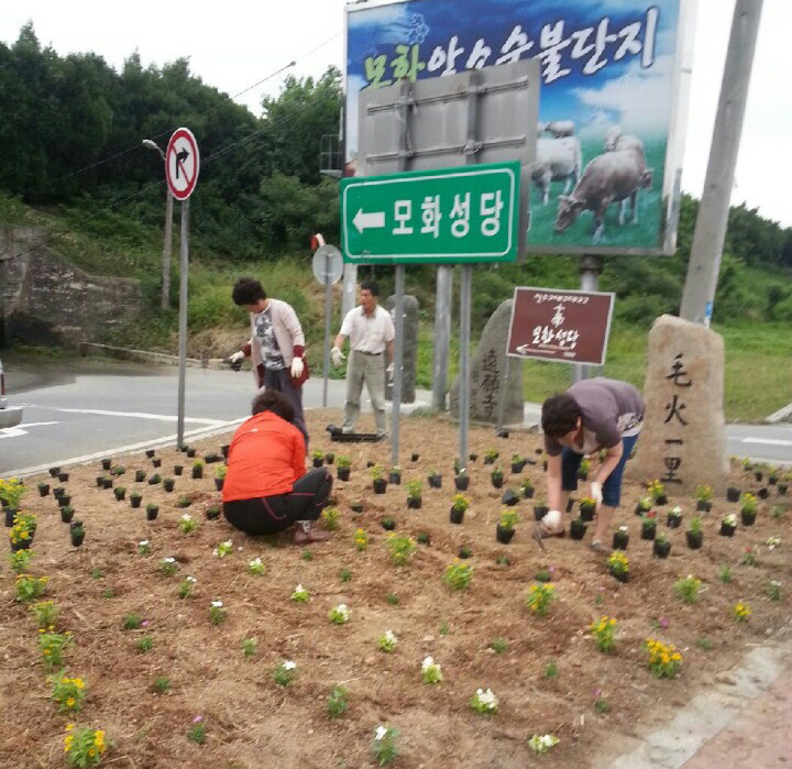 아름다운 가로환경 조성사업