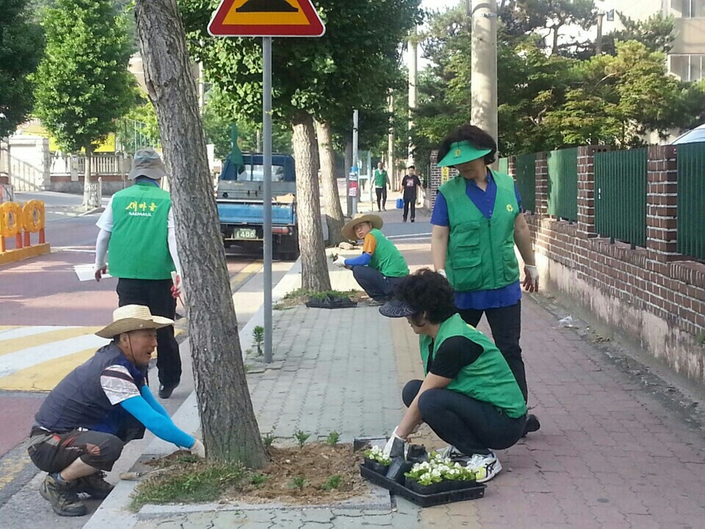 성하의 계절 ! 꽃길 조성에 구슬땀