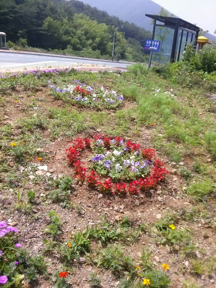 선도동, 꽃동산 조성에 구슬땀