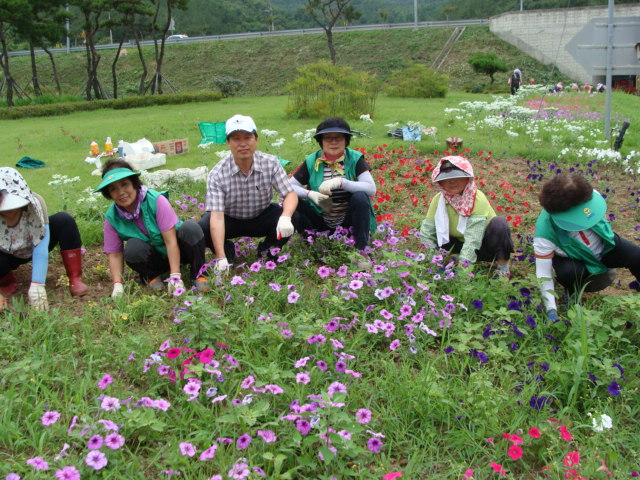 서면 새마을협의회 마을가꾸기 자원활동