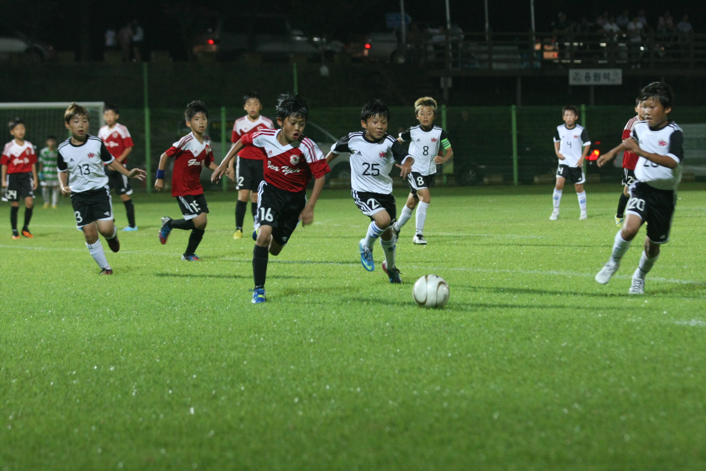2014 화랑대기 전국초등학교 유소년축구대회 개막